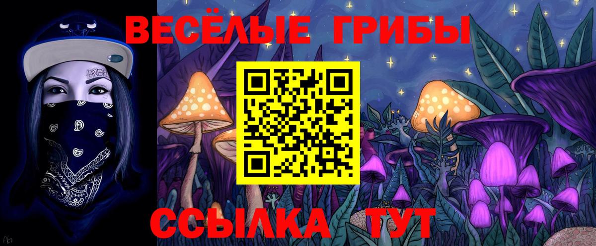 Псилоцибиновые грибы GOLDEN TEACHER Буйнакск