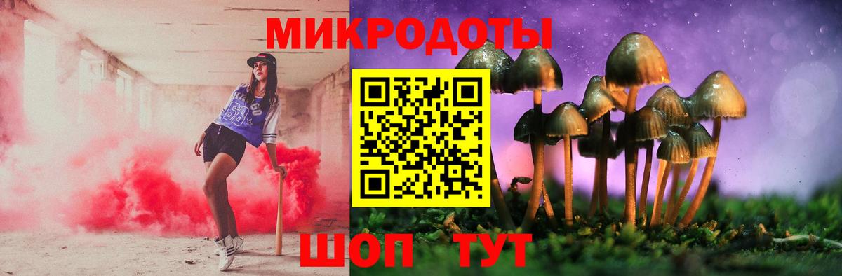 Галлюциногенные грибы MAGIC MUSHROOMS  Вход с VPN  Буйнакск 
